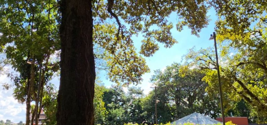 Prefeitura conclui manuten&ccedil;&atilde;o no Parque Palmital