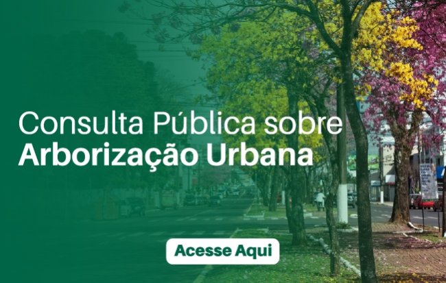 Consulta Plano de Arboriza��o